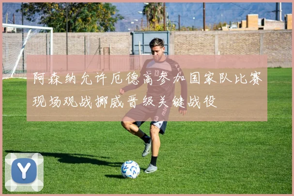 阿森纳允许厄德高参加国家队比赛现场观战挪威晋级关键战役