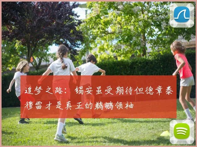 追梦之路：锡安虽受期待但德章泰穆雷才是真正的鹈鹕领袖