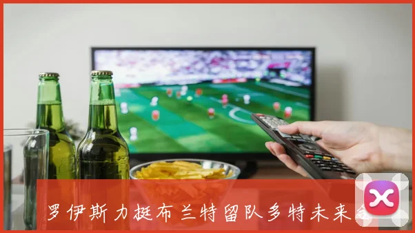 罗伊斯力挺布兰特留队多特未来合作前景可期