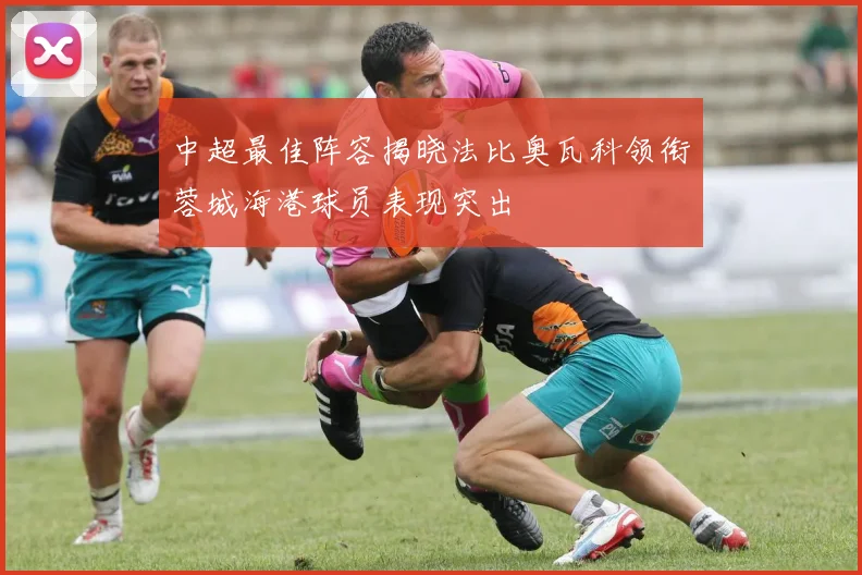 中超最佳阵容揭晓法比奥瓦科领衔蓉城海港球员表现突出