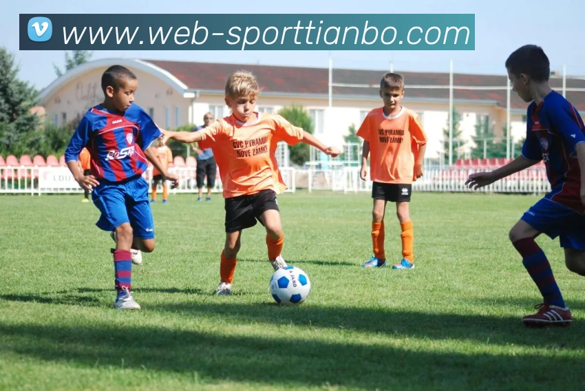 天博体育全站App